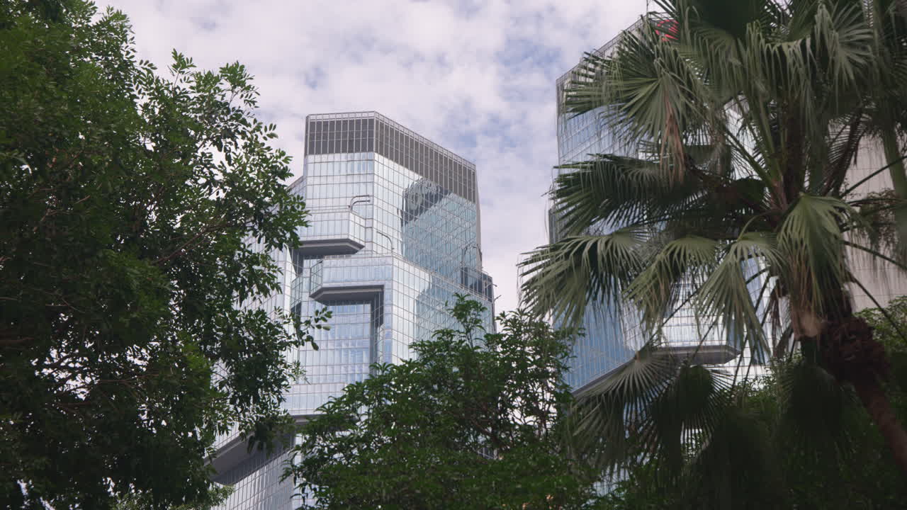 Hong Kong Urban Jungle View of Modern Skyscrapers and Palm Trees in Central Business District