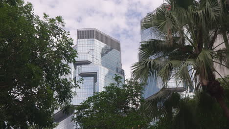 hong kong urban jungle view of modern skyscrapers and palm trees in central business district