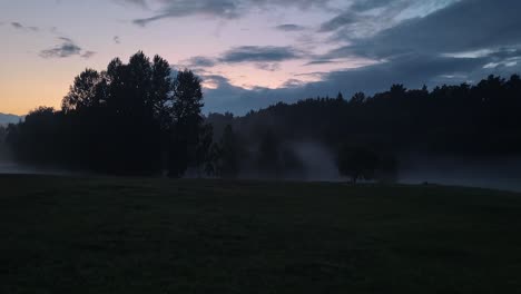 foggy evening nature in green summer scenic countryside