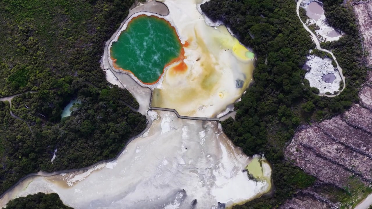 Zelené geotermální jezírko a minerální usazeniny obklopené lesem, Rotorua, Nový Zéland.