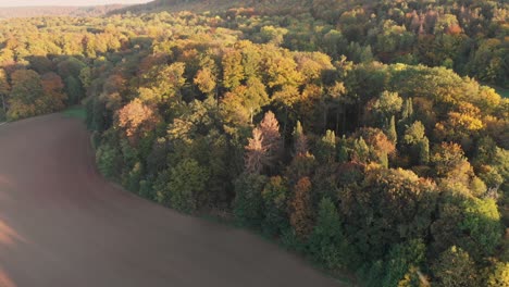 Vista-Aérea-De-Un-Bosque-En-Hermosos-Colores-De-Otoño