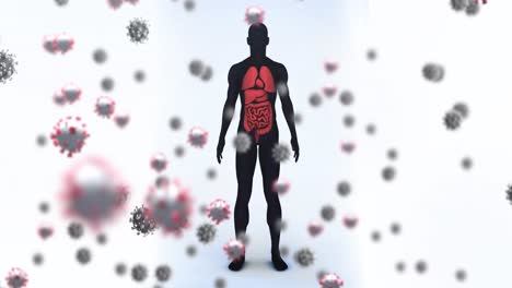 Animation-of-falling-viruses-cells-over-human-body-model