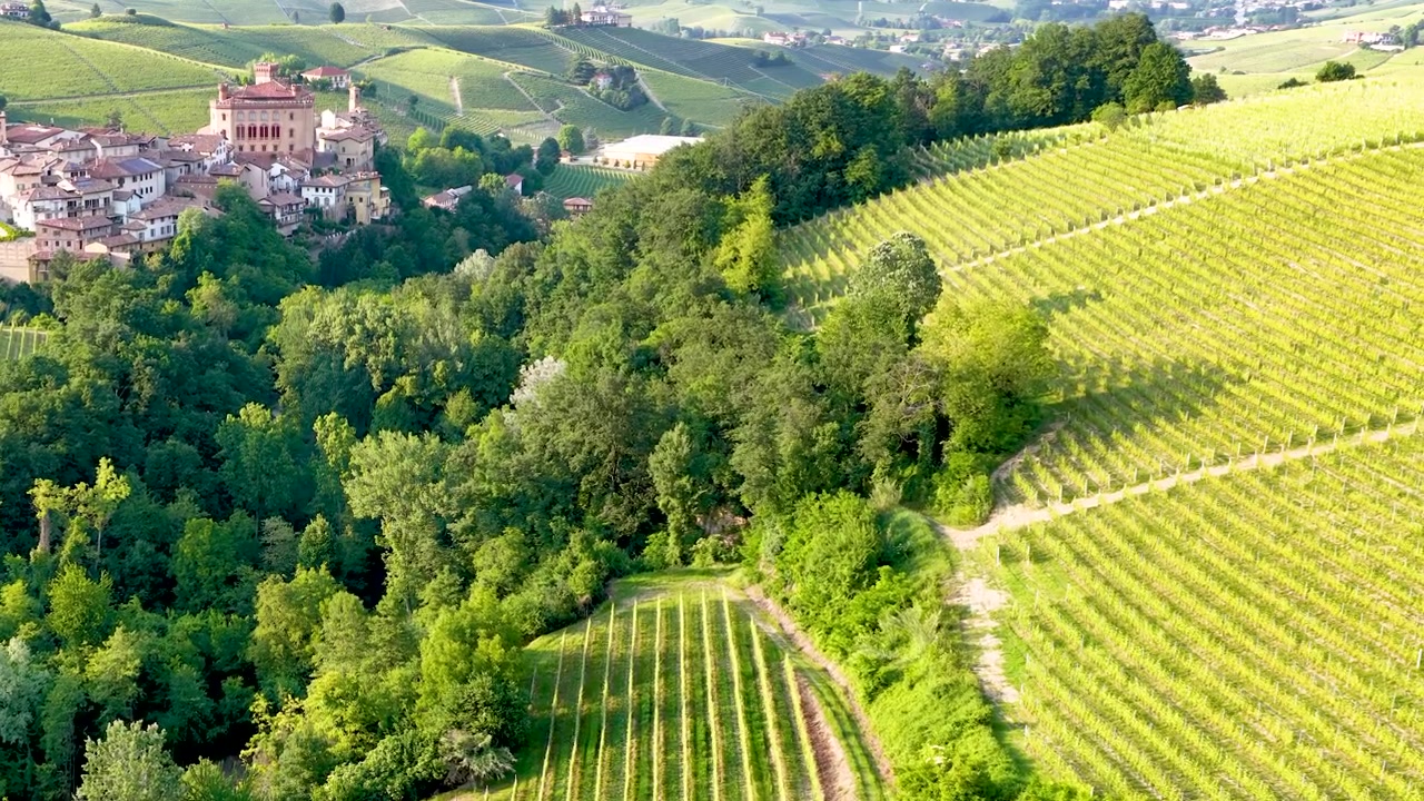 Mouvement lent de drone aérien au-dessus de vignobles verdoyants et luxuriants et d'un village historique perché en Italie