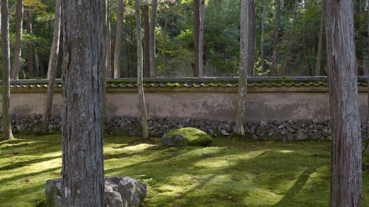 Slow motion slider across stunning temple grounds with moss covered ground