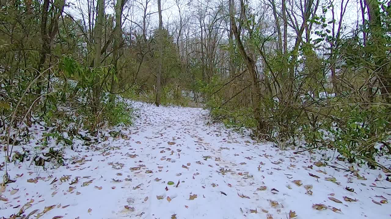 흐린 겨울 오후에 숲을 통과하는 스노우 트레일을 걷는 동안 모든 지형 차량 atv의 뒤쪽에서 pov