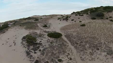 Nahaufnahme-Fly-by-FPV-Aufnahme-Der-Wüstenpfade-Mit-Grünem-Laub-Und-Weichen-Weißen-Sanddünen-Und-Hohen-Gipfeln-Im-Dune-Shacks-Trail-In-Provincetown,-Cape-Cod,-Massachusetts