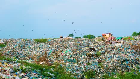 endless amounts of pollution as birds fly above a mountain of trash and plastic in a landfill in bangladesh