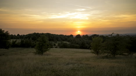 toma de la puesta de sol sobre un campo donde la gente pasea a sus perros con una impresionante línea de árboles bellamente enmarcada en esta toma