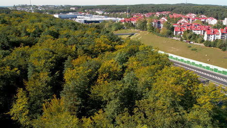 Sobrevuelo-De-Drones-Sobre-El-Bosque-Que-Bordea-La-Carretera-Vacía-Y-El-Vecindario-Suburbano,-Espacio-Para-Texto