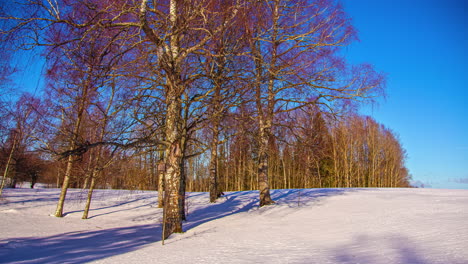 Las-Sombras-Cruzan-Un-Campo-De-Nieve-Mientras-El-Sol-Cruza-El-Cielo---Lapso-De-Tiempo