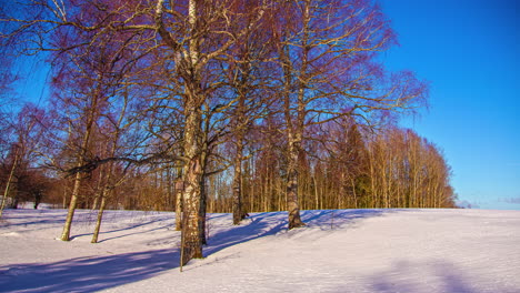 las sombras cruzan un campo de nieve mientras el sol cruza el cielo - lapso de tiempo