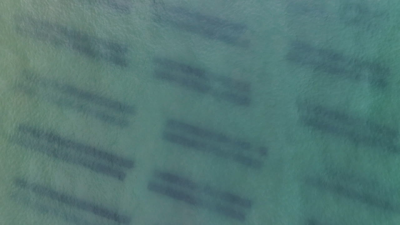 granja de ostras en el extranjero bajo el agua asnelles francia vista aérea de avión no tripulado