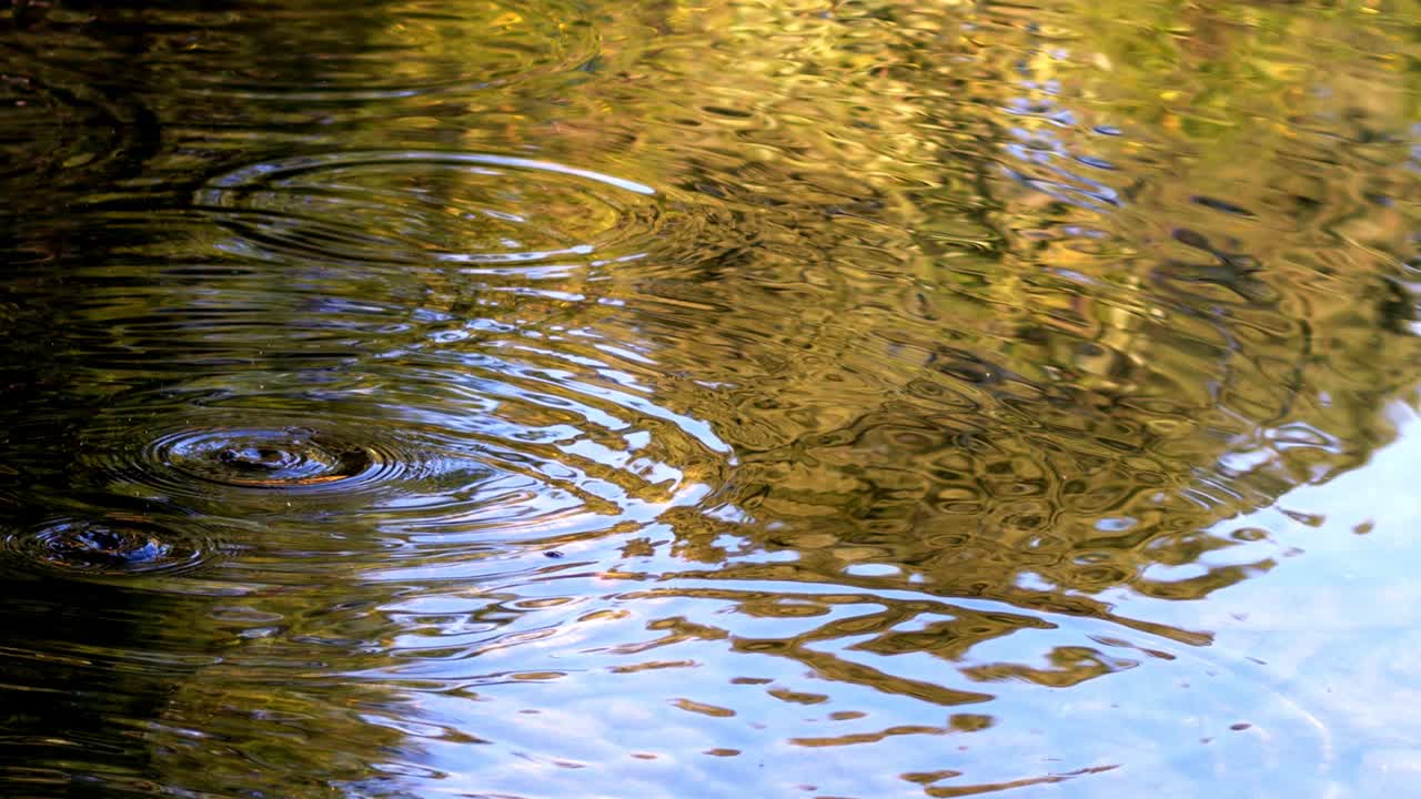 호수 물 위에 떨어지는 물방울