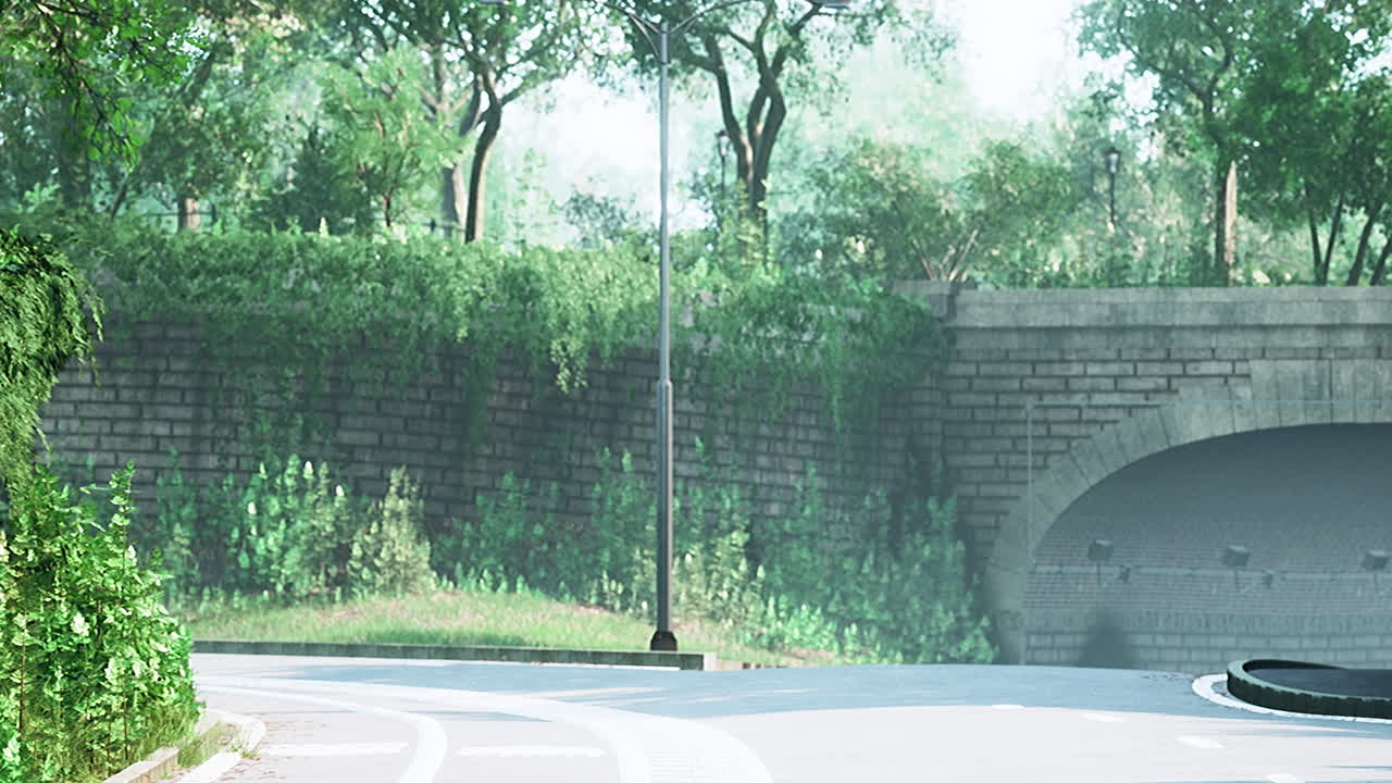 숲 한가운데 를 가로지르는 도로 의 사진