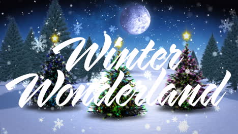 animación de la nieve cayendo y el texto del país de las maravillas de invierno sobre árboles de navidad y paisaje de invierno.