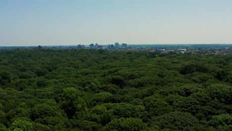 Experimente-La-Exuberante-Belleza-Del-Parque-Forestal-Forest-Hills-En-Nueva-York,-Queens,-Durante-La-Vibrante-Temporada-De-Verano-A-Través-De-Una-Cautivadora-Toma-De-Drones.