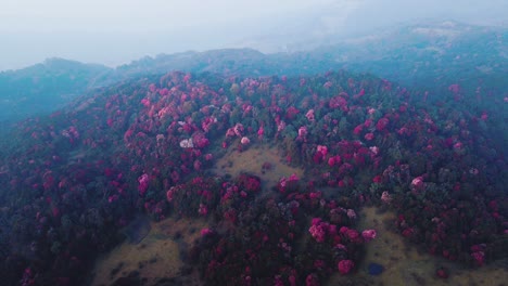 vista aérea de una colina de montaña en nepal