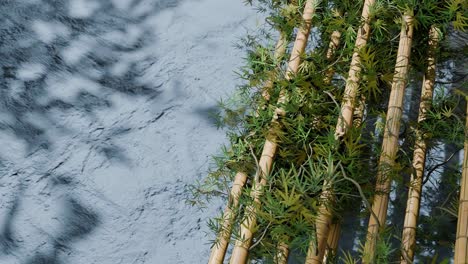 bamboo stalks with green leaves arranged vertically on blue textured lavender wall with natural shadows. nature, zen decor and botanical background concept. composition with copy space