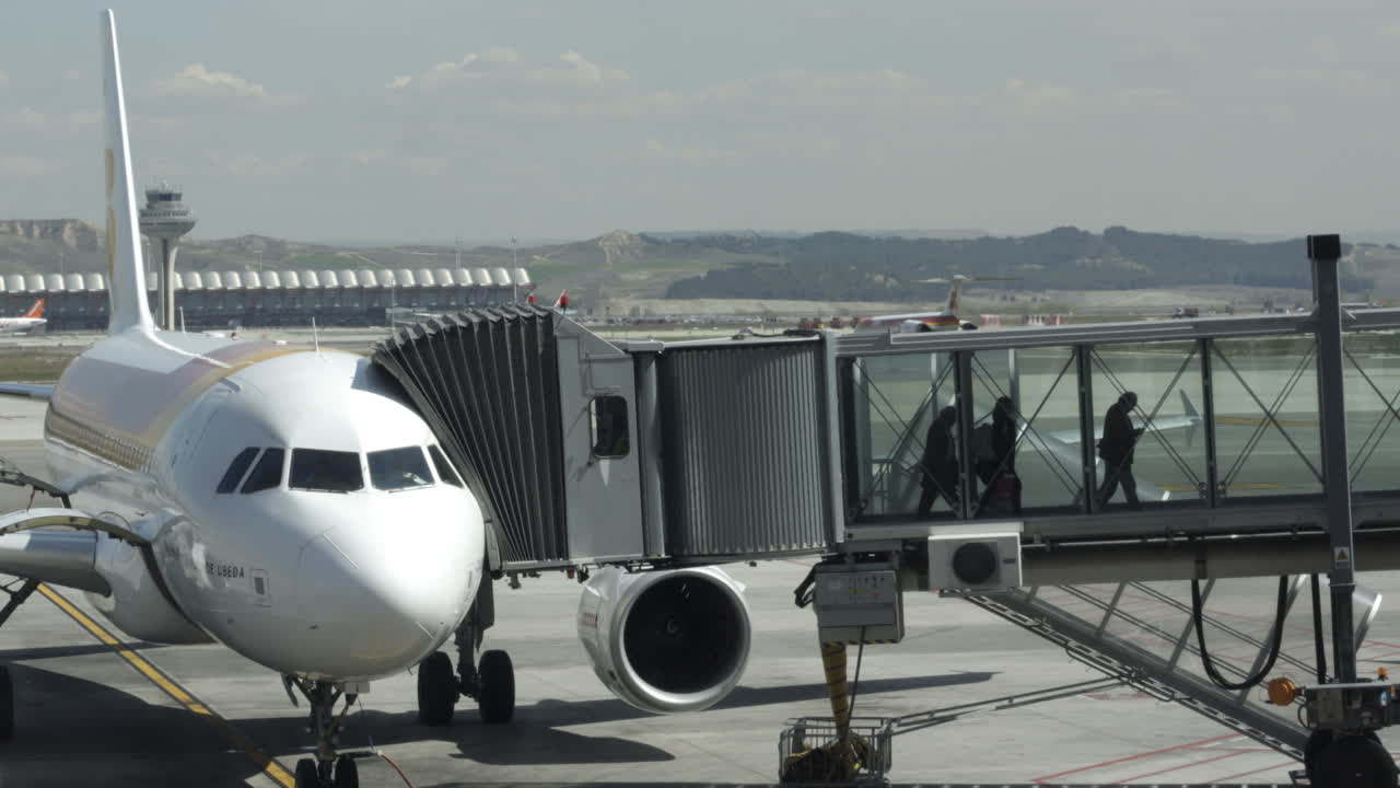 비행기에서 내리다