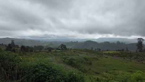 aa wide, verdant landscape under a cloudy sky, with various shades of green and sparse trees, creating a serene and peaceful atmosphere. panning shot