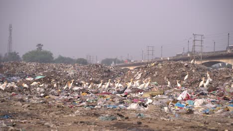 garbage dump outside the city