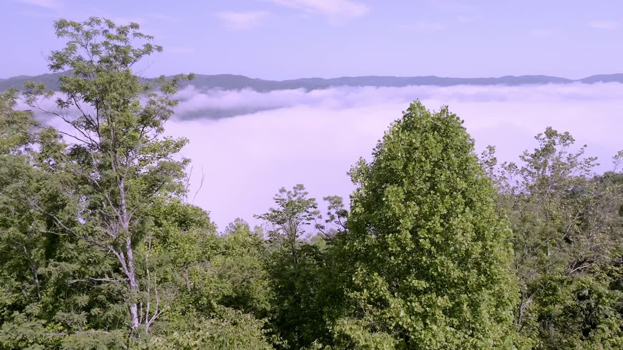 Clouds and fog near Jellico, Tennessee in the Cumberland Mountains with drone video forward through trees