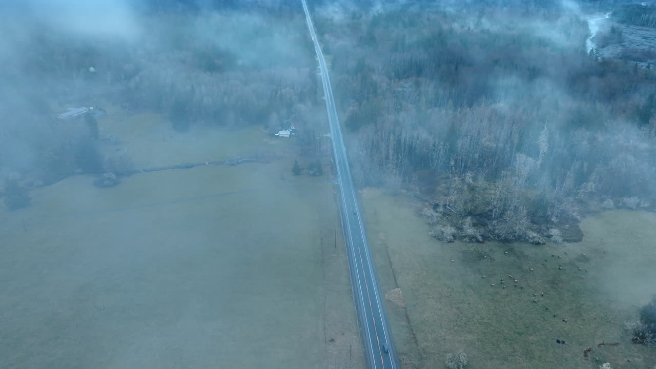 Mist disperses and opens the view on the road with two cars going by. Scenery of the Mount Rainier National Park in Washington State, the USA. Top view.