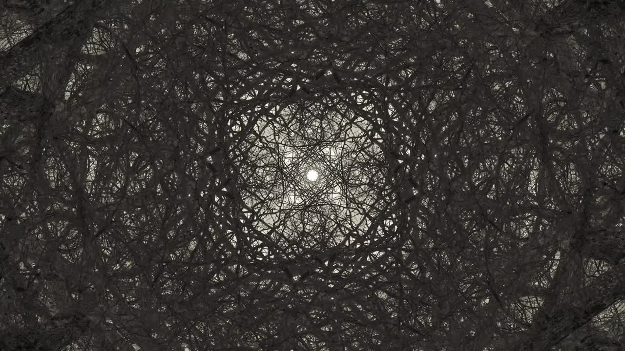 árboles en simetría - en bucle