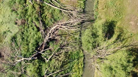 Top-perspective-video-of-a-field-with-scattered-dry-trees,-and-a-tranquil-river-going-through-the-landscape