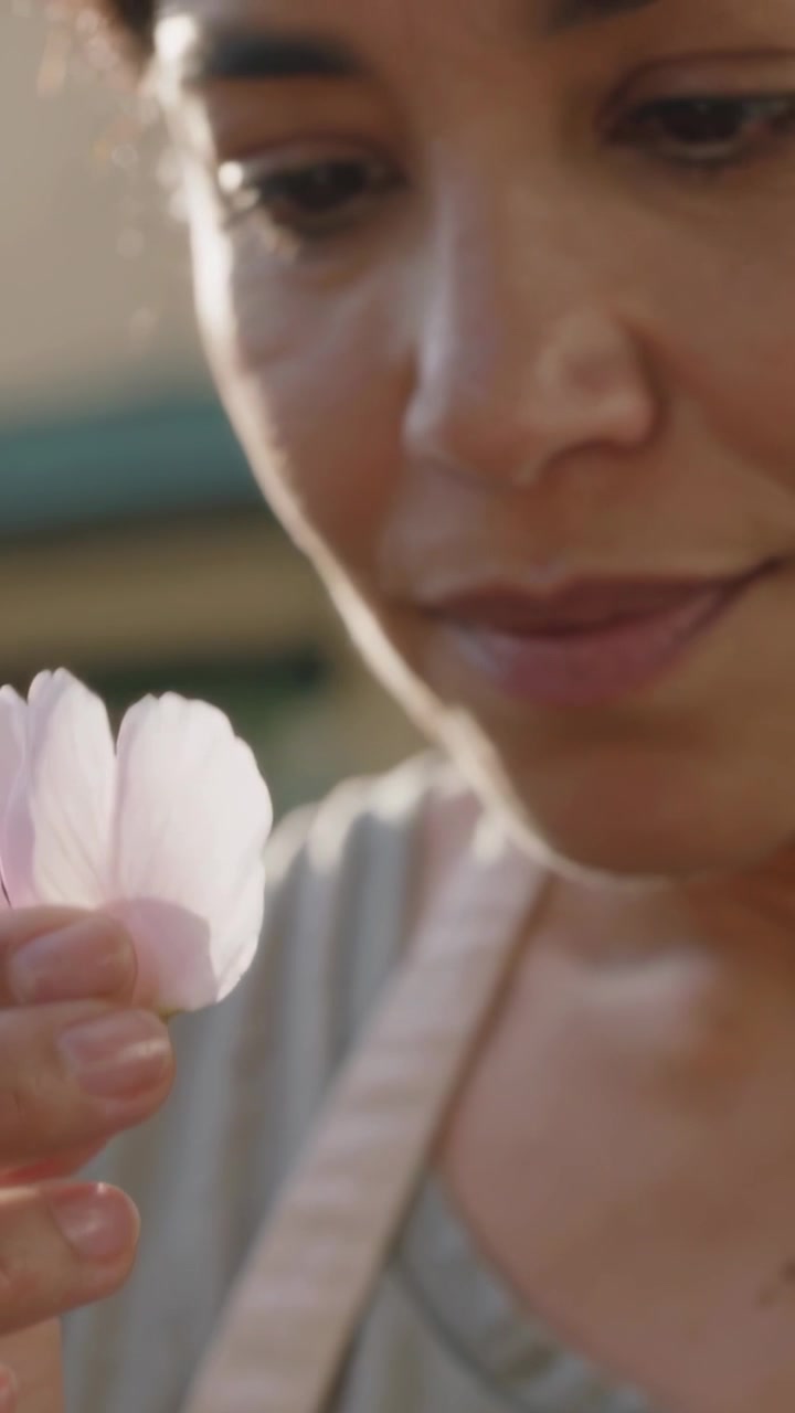 Video verticale: Fiorista con grembiule che solleva un fiore rosa da una cassa, controllando i petali per la vendita alla bancarella.