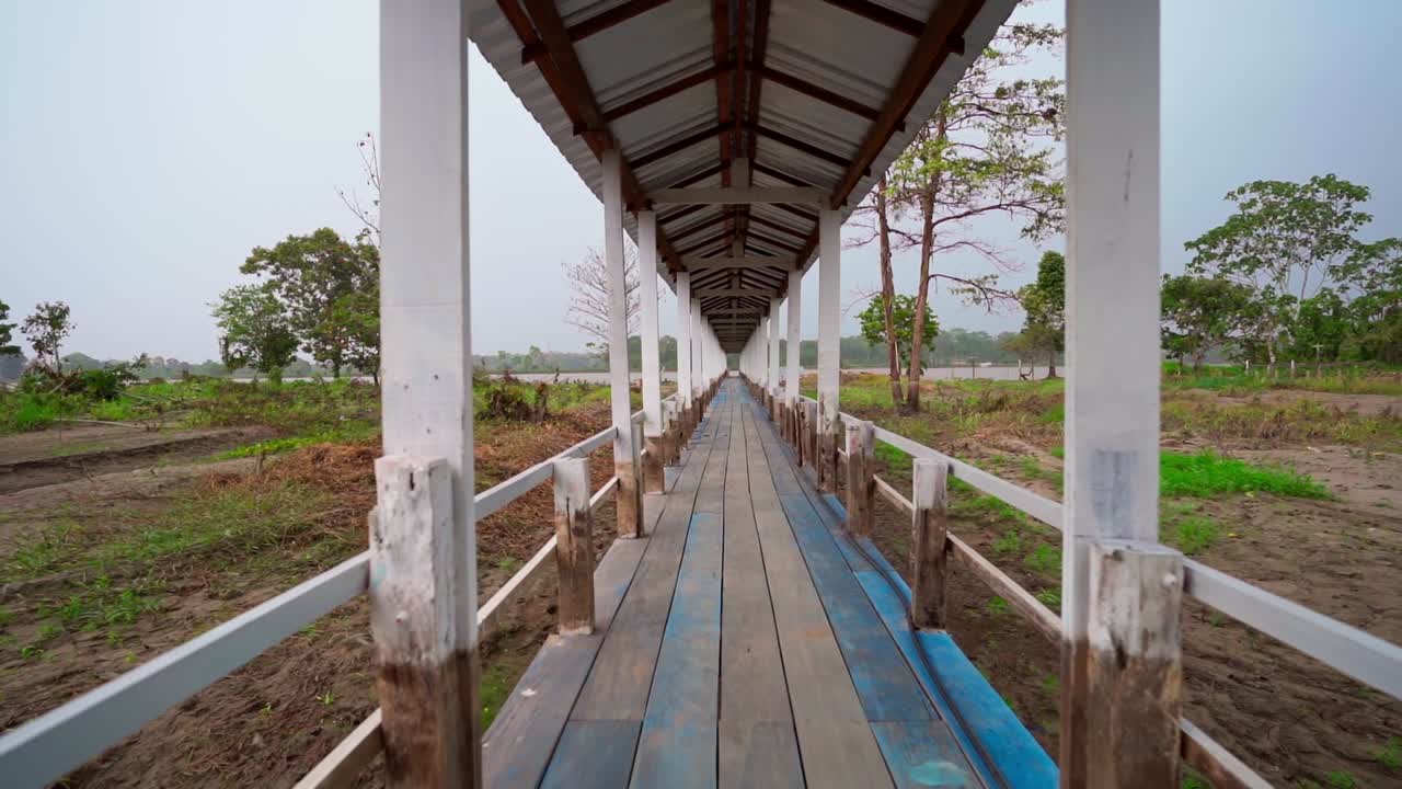 Wooden pathway in a rainforest village, lush greenery and calm atmosphere, Brazil