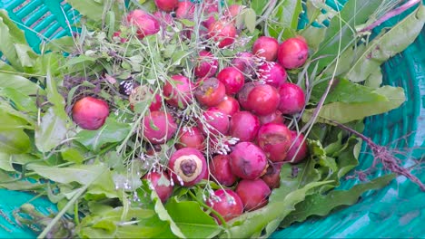 red fruit that the farmer has collected into a basket