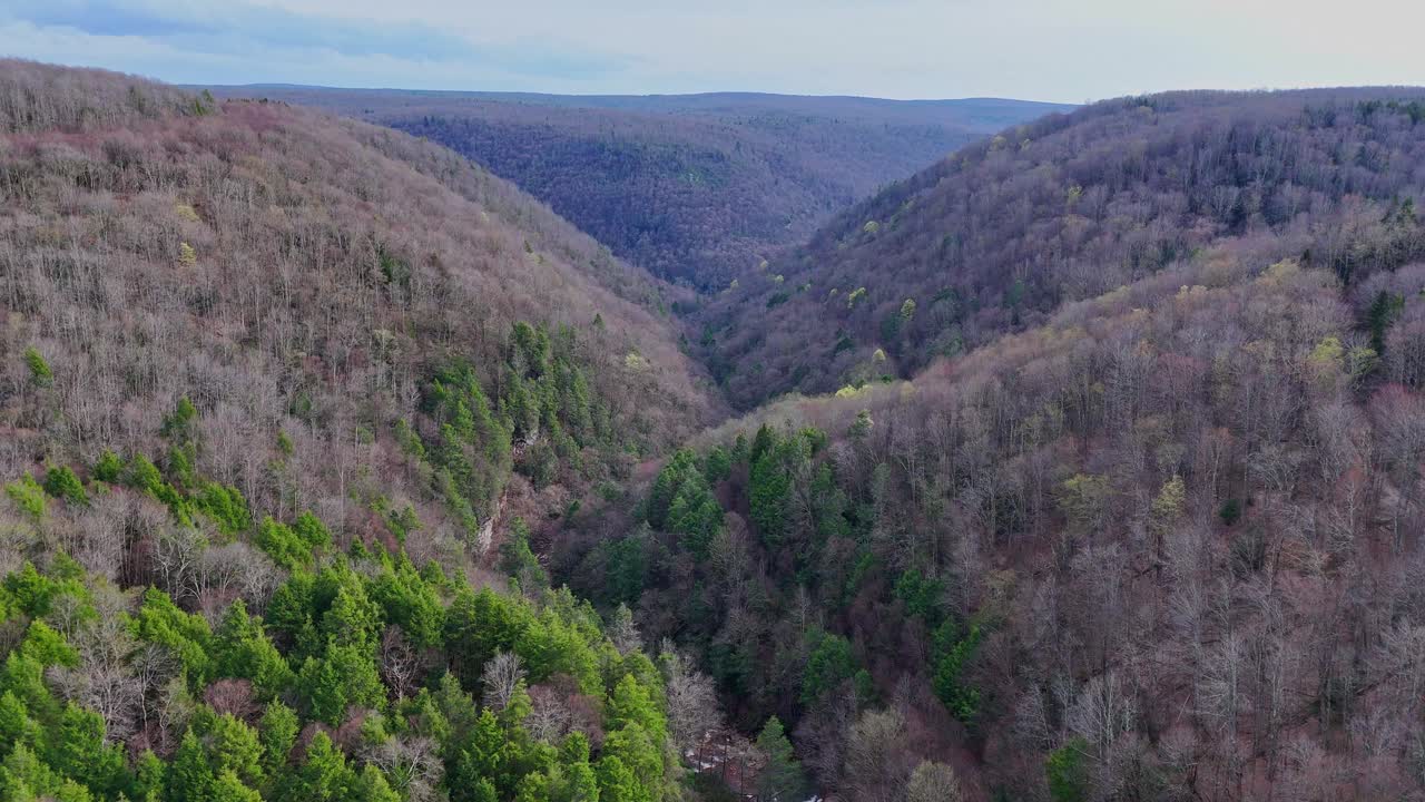 Mountain gorge with forest near Blackwater River, Thomas, West Virginia, USA in aerial view