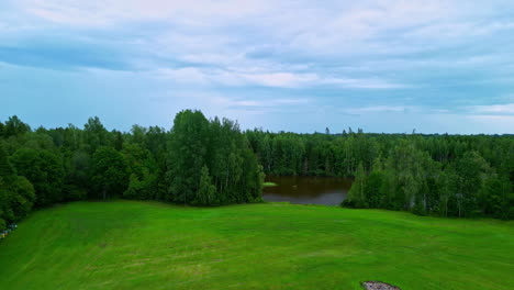 Luftaufnahme-Des-Nadelwaldes-Und-Der-üppigen-Grünen-Landschaft,-Die-Den-Teich-Schmückt