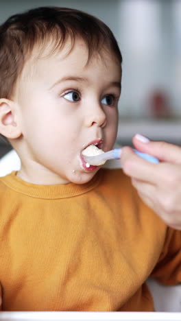 beautiful caucasian baby boy having dinner at home. child takes a spoonful from mom and sits still with a full mouth looking straight into camera thoughtfully. vertical video