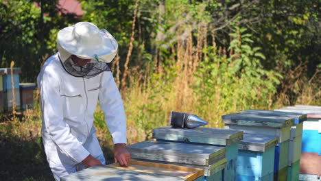 beekeeper is working with bees and beehives on the apiary. beekeeper on apiary.