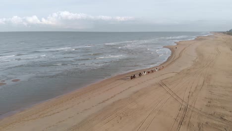 horse riding at the sandy shore of north sea beach in the netherlands near katwijk