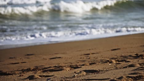 dark day at the beach with focus shifting from the sand into the sea