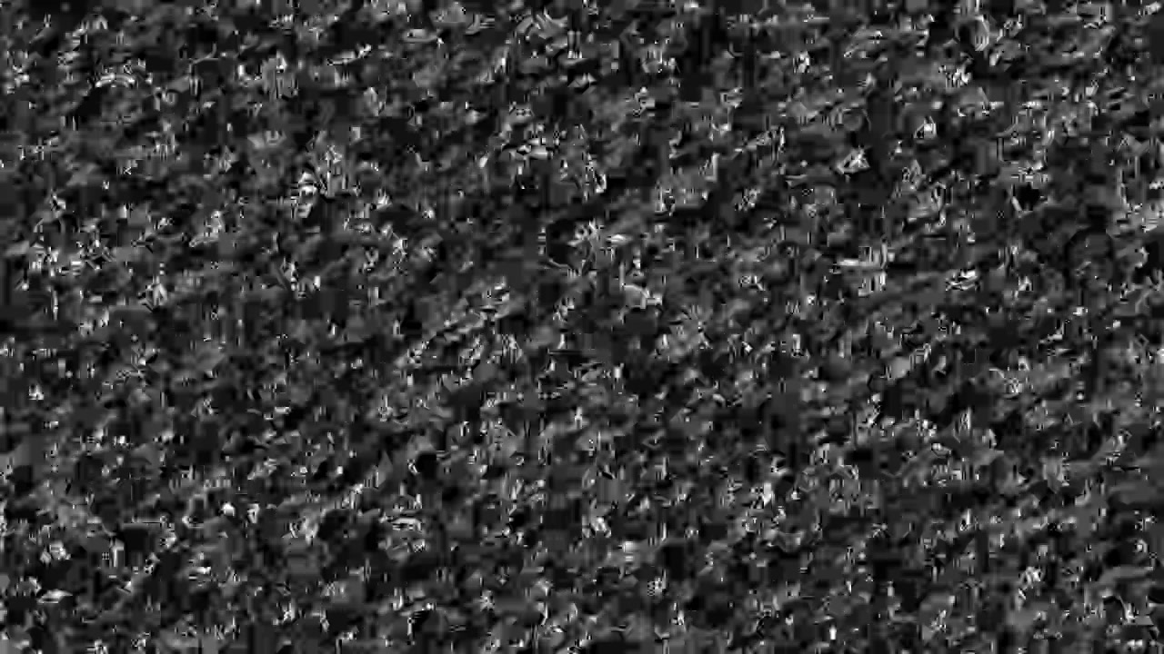 Abstract Black and White Digital Noise Static Background