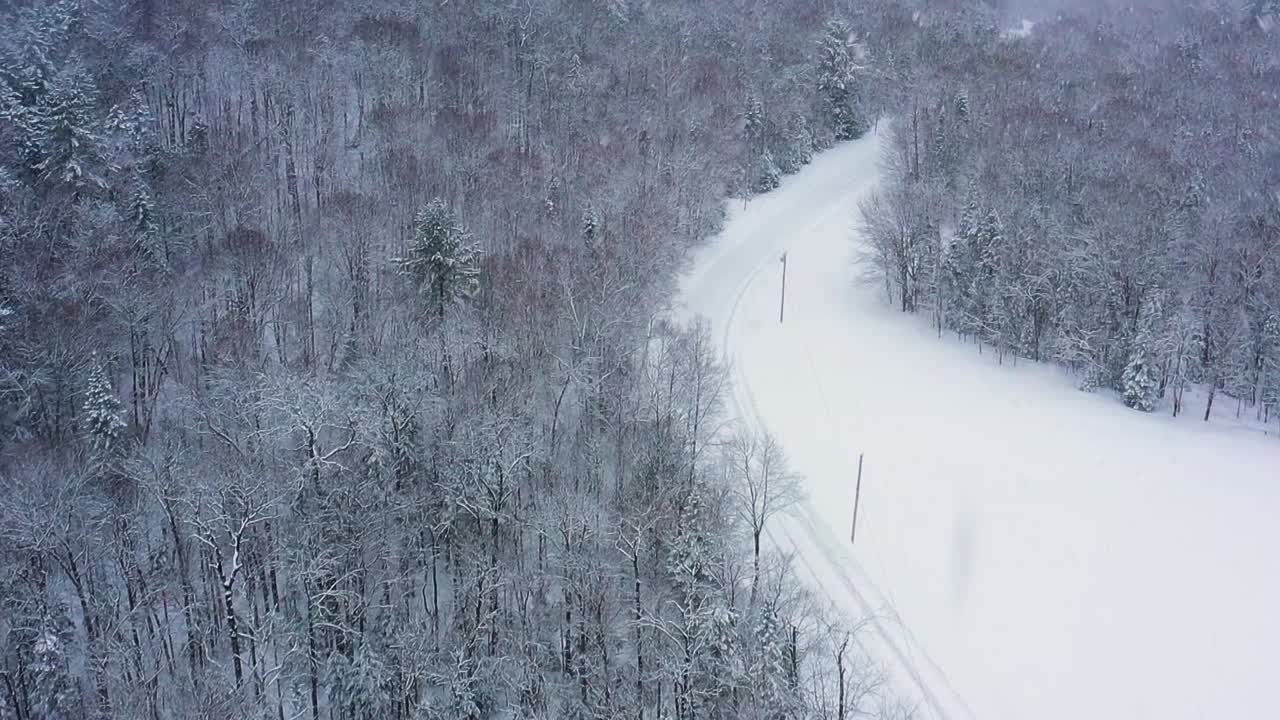 폭풍 슬로우 모션 공중에 의해 가려진 거리를 드러내기 위해 눈보라가 치는 동안 숲을 통과하는 구불구불한 도로에서 위로 기울어집니다.