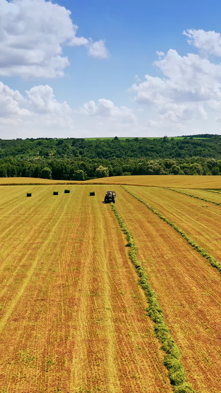 Aerial view on the natural field background at hay harvesting. Tractor is pressing dry grass into bales under beautiful sky in summer time. Vertical video