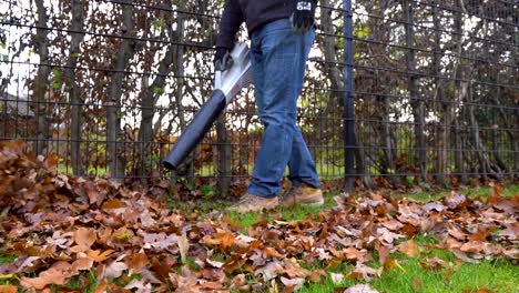 worker blowing messy leaves in autumn season in slow motion