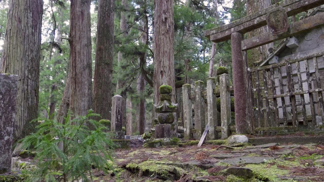 hermoso paisaje en el templo de koyasan okunoin con pilares de piedra