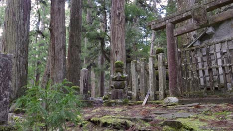 hermoso paisaje en el templo de koyasan okunoin con pilares de piedra