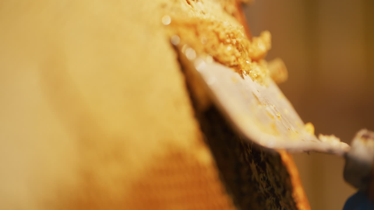 The Beekeeper Strips Wax and Produces Honey