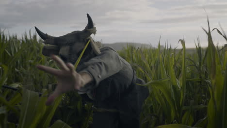 Mysterious Figure in a Cornfield
