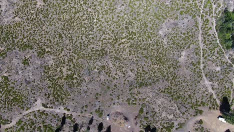 Aerial-shot-capturing-Lassen-National-Forest-from-top-perspective,-sorrounded-by-greenery