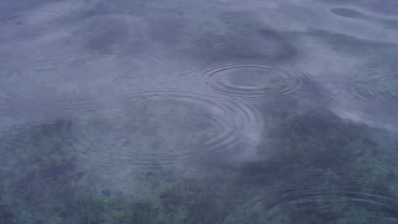 평온한 호수에 떨어지는 비방울