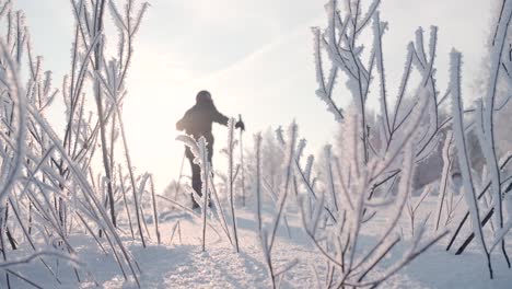 langlauf im winter im schneebedeckten wald