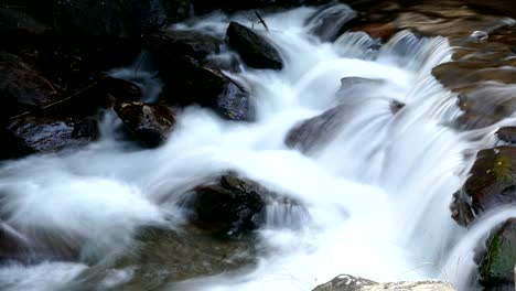 detail mountain river on the pyrenees of andorra.